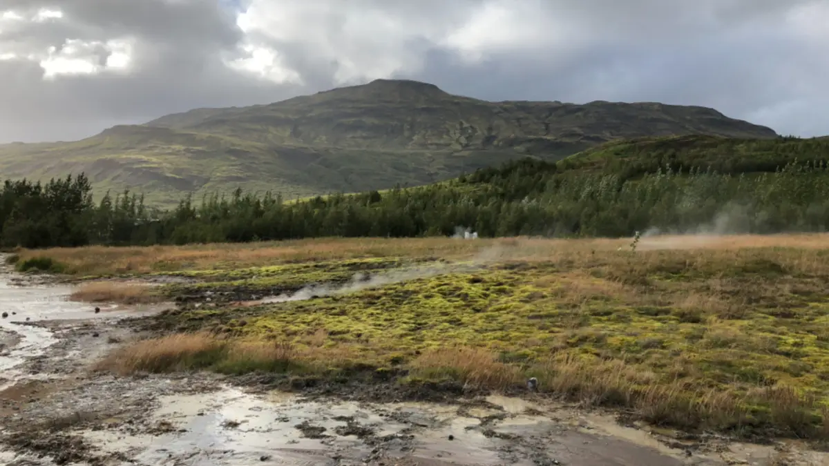 How to Get a Digital Nomad Visa in Iceland