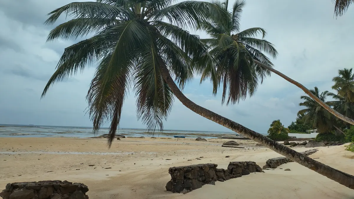 How to Get a Digital Nomad Visa in Seychelles