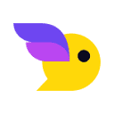 Paysenger logo